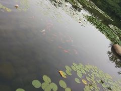 -白马涧龙池景区
