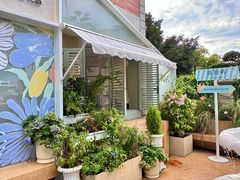 -苏小糖(鼓浪屿三丘田花园店)