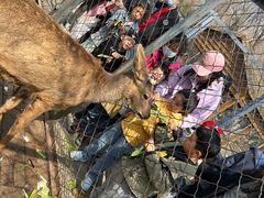 -长白岛森林公园