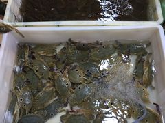 -老字号蛇口德记烧腊饭店·海鲜加工