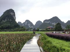 -靖西鹅泉风景区