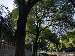 -元大都城垣遗址公园