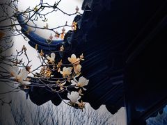 -拙政园