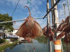 -晓琦农家菜馆·地道农家菜