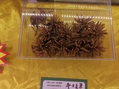 -中国农业博物馆