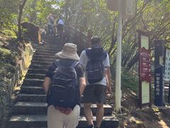 -广州白江湖森林公园