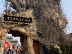 -大槐树寻根祭祖园