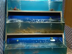 -如轩·海鲜砂锅粥·潮汕菜(小榄店)