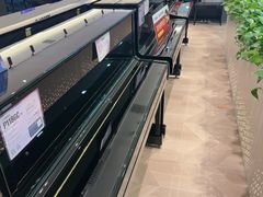 -盛世雅歌琴行·雅马哈钢琴专卖店·电钢琴城·钢琴培训(新辰里学清路店)