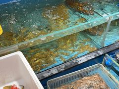 -好兄弟郭巨海鲜(天一阁店)