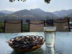 -龙坞茶村