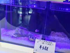 -瑞虹新天地月亮湾