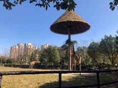 -南昌动物园