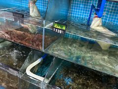-岛中岛·海鲜大排档·万宁老字号(东澳店)
