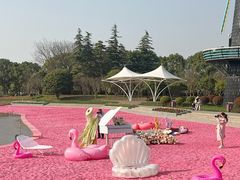 -上海鲜花港