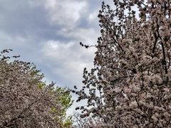 -元大都城垣遗址公园