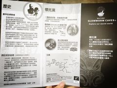 -怀托摩萤火虫洞