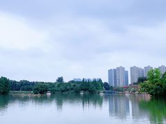 -青枫公园