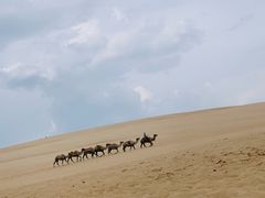 -玉龙沙湖景区