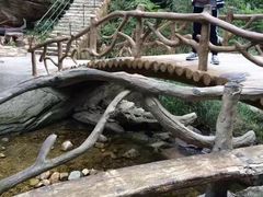 -黑龙潭风景区