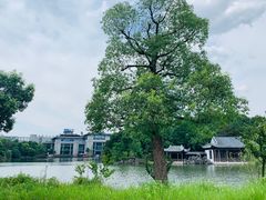 -龙天小镇