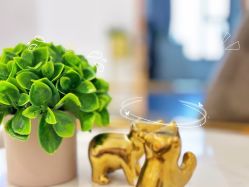 -MIVI野生眉纹绣纹眉