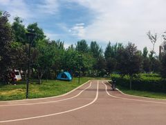 -丁香湖公园
