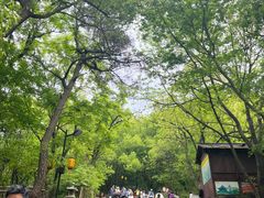 -灵岩山风景区