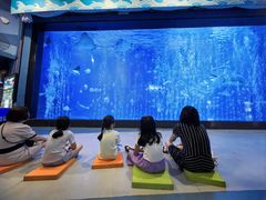 -烟台海昌鲸鲨海洋公园