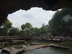 -蛇蟠岛