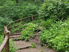 -香炉山国家森林公园