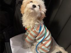 -LE COQ大公鸡小酒馆(北京首店)