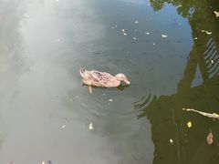 -广州神农草堂中医药博物馆