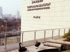 -行者书屋大堂吧 ·下午茶(南京圣和府邸酒店)