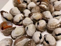 -华盛丰温州大排档(东三环南路店)