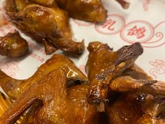 -百利鸽王(紫薇路店)