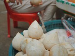 -三亚新鸿港水果一级批发市场
