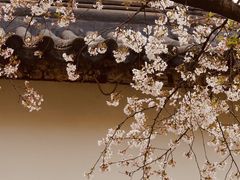 -苏州上方山国家森林公园