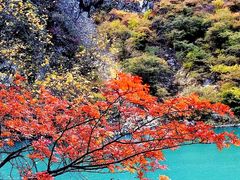 -叠溪松坪沟景区