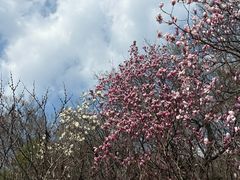-南京市江宁方山