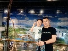 -自贡恐龙博物馆