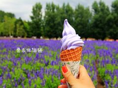 -富田农场