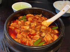 -陈麻婆豆腐总店