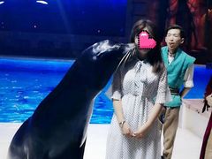 -哈尔滨波塞冬海底世界