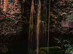 -白天鹅宾馆·月兔吧