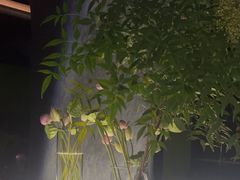 -Love Story爱情故事·养生SPA会所(体育店)