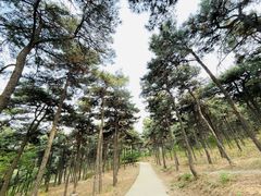 -北京西山国家森林公园