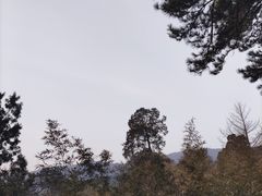 -香山公园