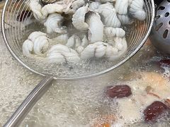 -濠轩阁特色生蚝火锅(水湾路店)