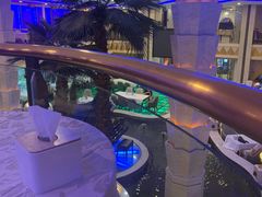 -碧中海汤泉汗蒸酒店